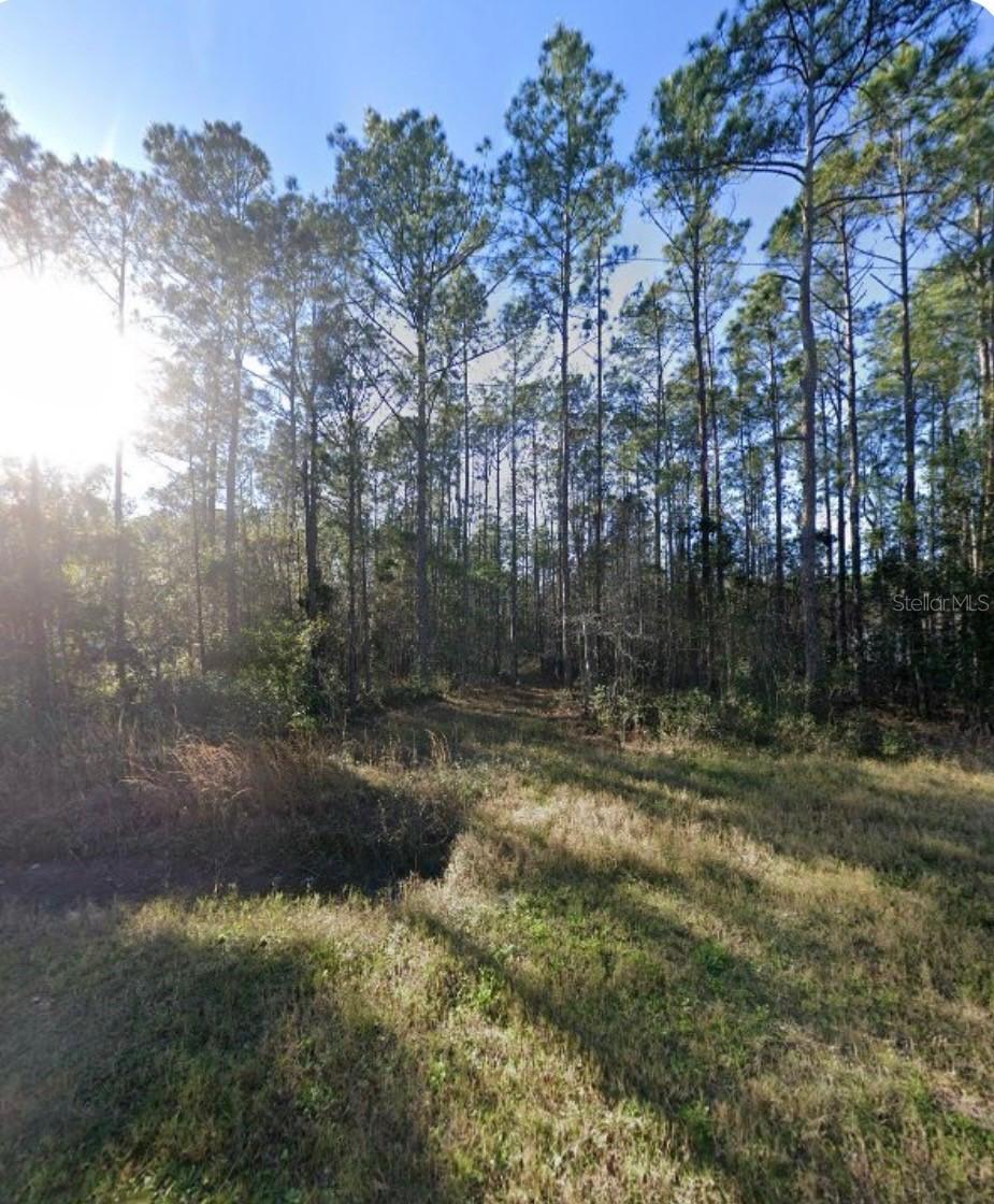 9930 Crotty Ave., Hastings, FL 32145