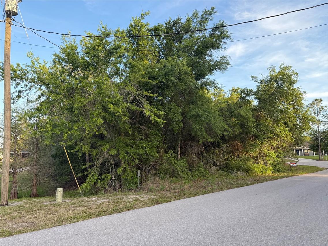 Magnolia Cir., Lake Wales, FL 33898