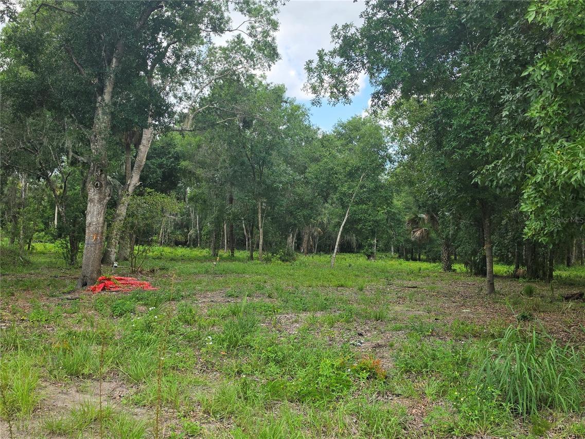 180 Oak Dr., Osteen, FL 32764