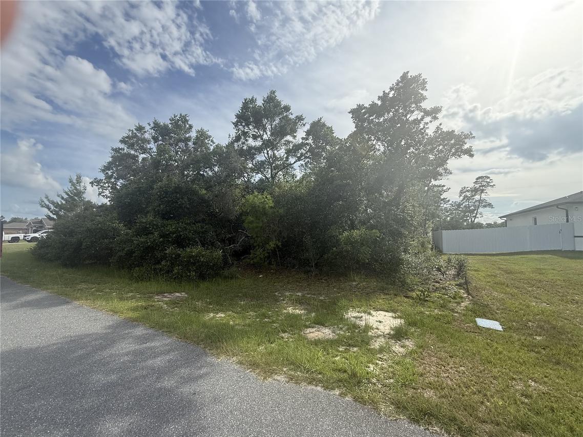 TBD SW 161st Loop, Ocala, FL 34473