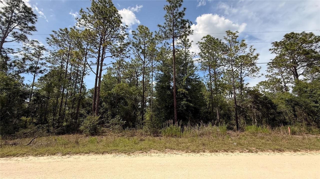 SW Undetermined St., Dunnellon, FL 34432