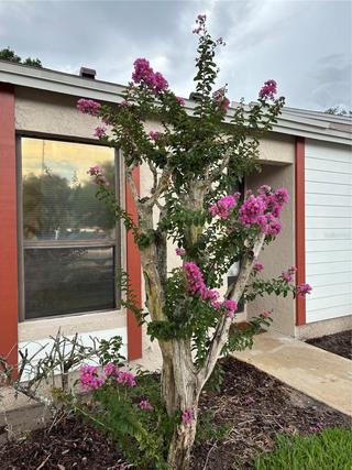 New Construction Homes For Sale This Week in Winter Park: June 17th to June 23rd