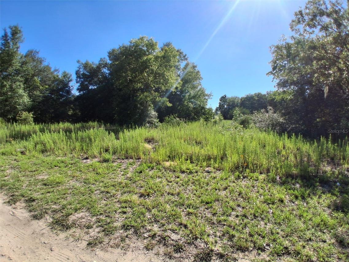 SW Tbd Sw 146th Ave., Ocala, FL 34481