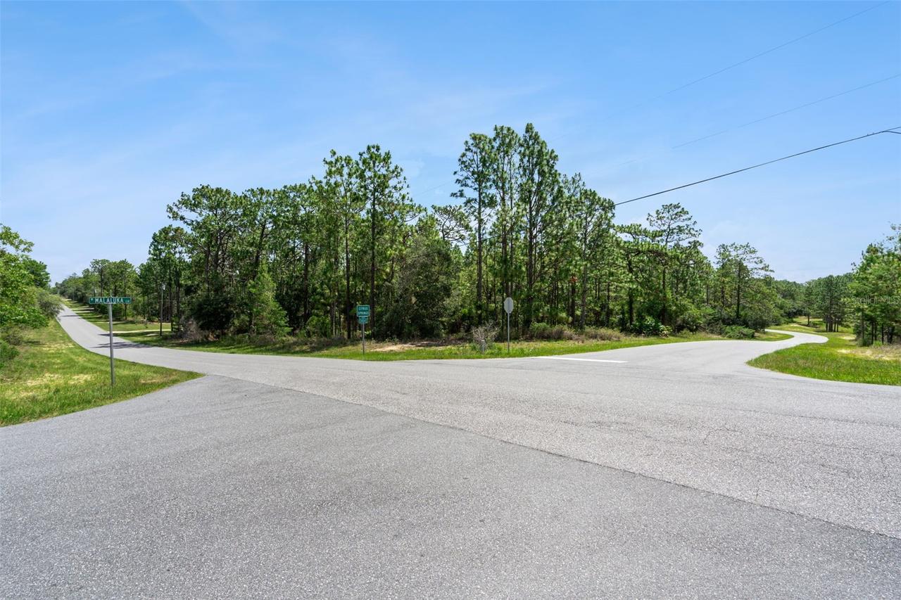 4181 W Malaluka Cir., Citrus Springs, FL 34433
