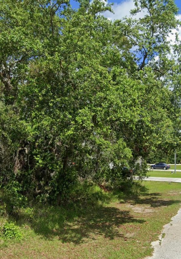 1504 Eloise Ct., Kissimmee, FL 34759