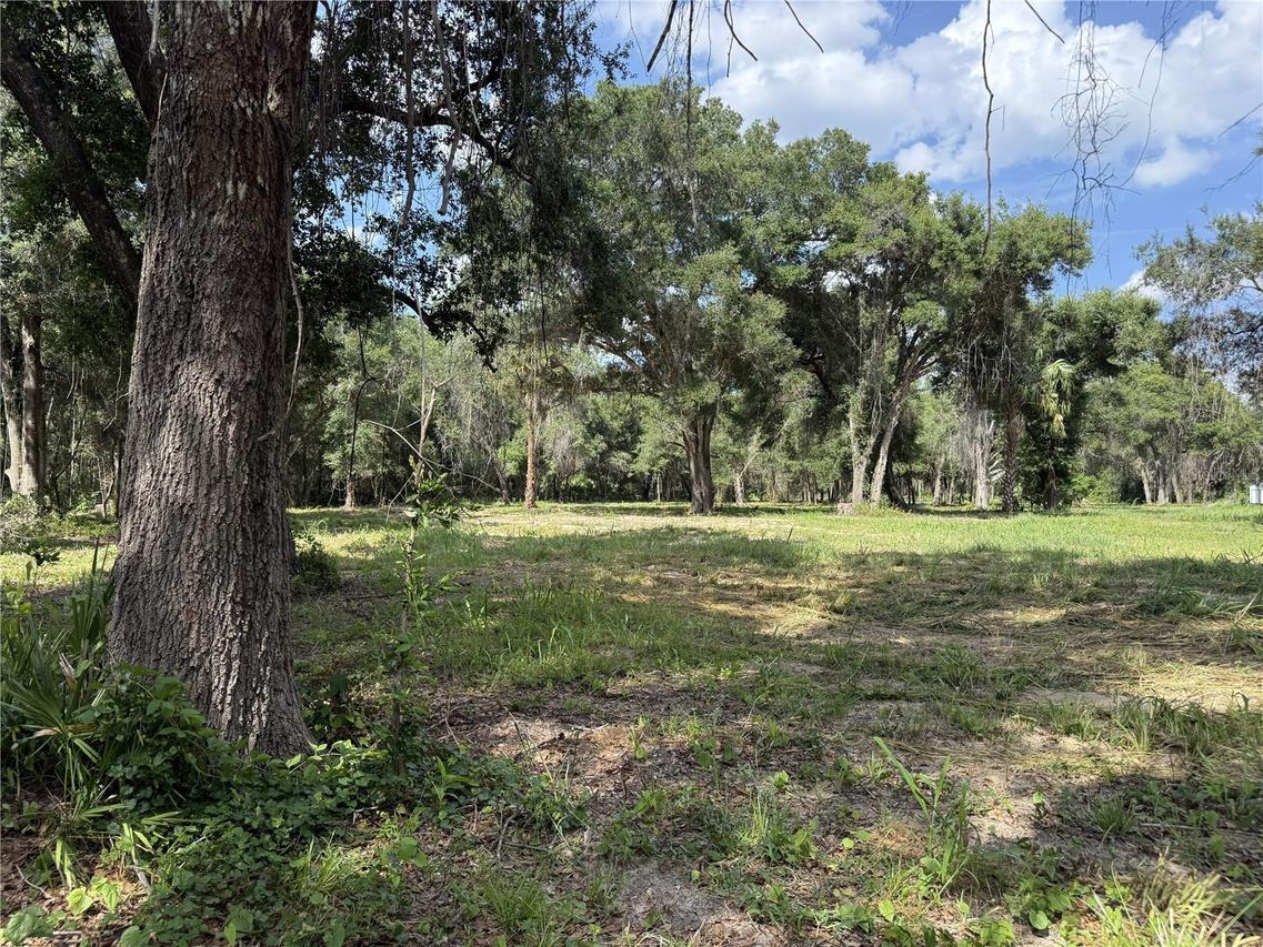 620 Cochran Rd., Geneva, FL 32732