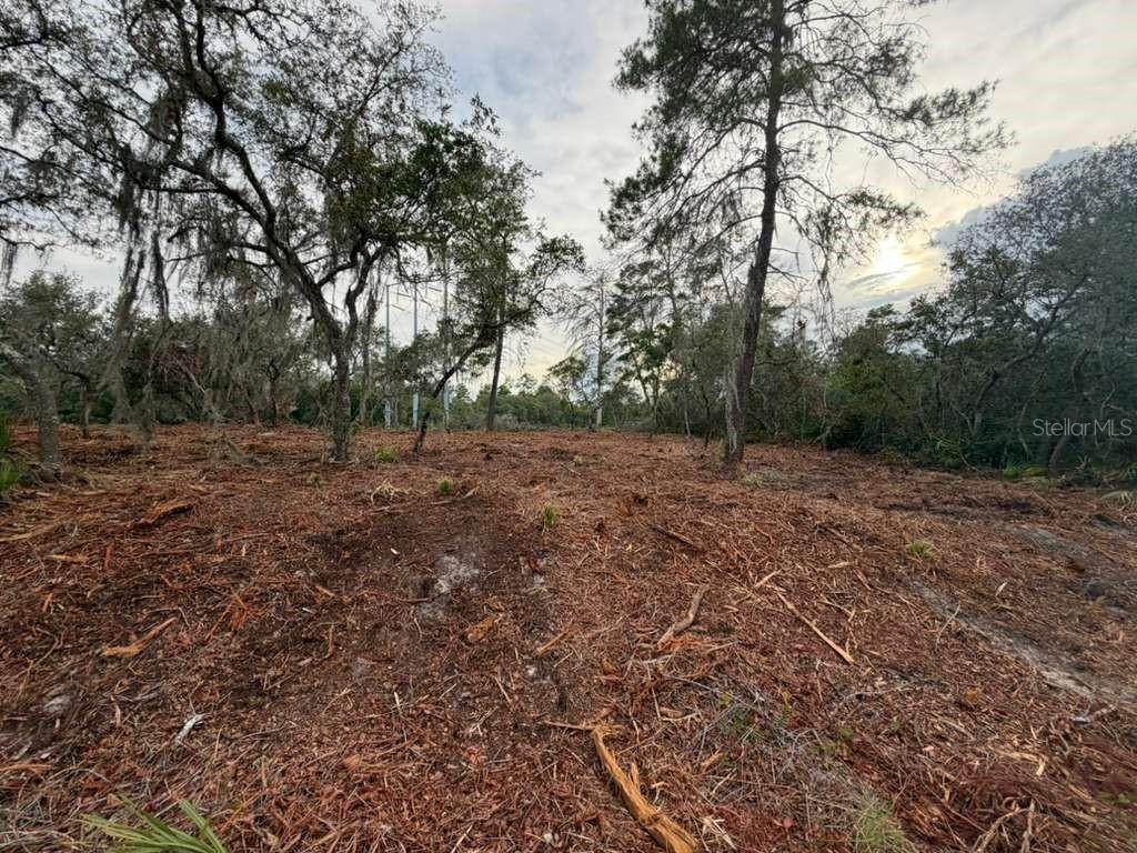 9640 SE Sequoia Tr., Ocklawaha, FL 32179