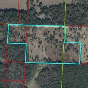 NE 172nd Ct., Williston, FL 32696