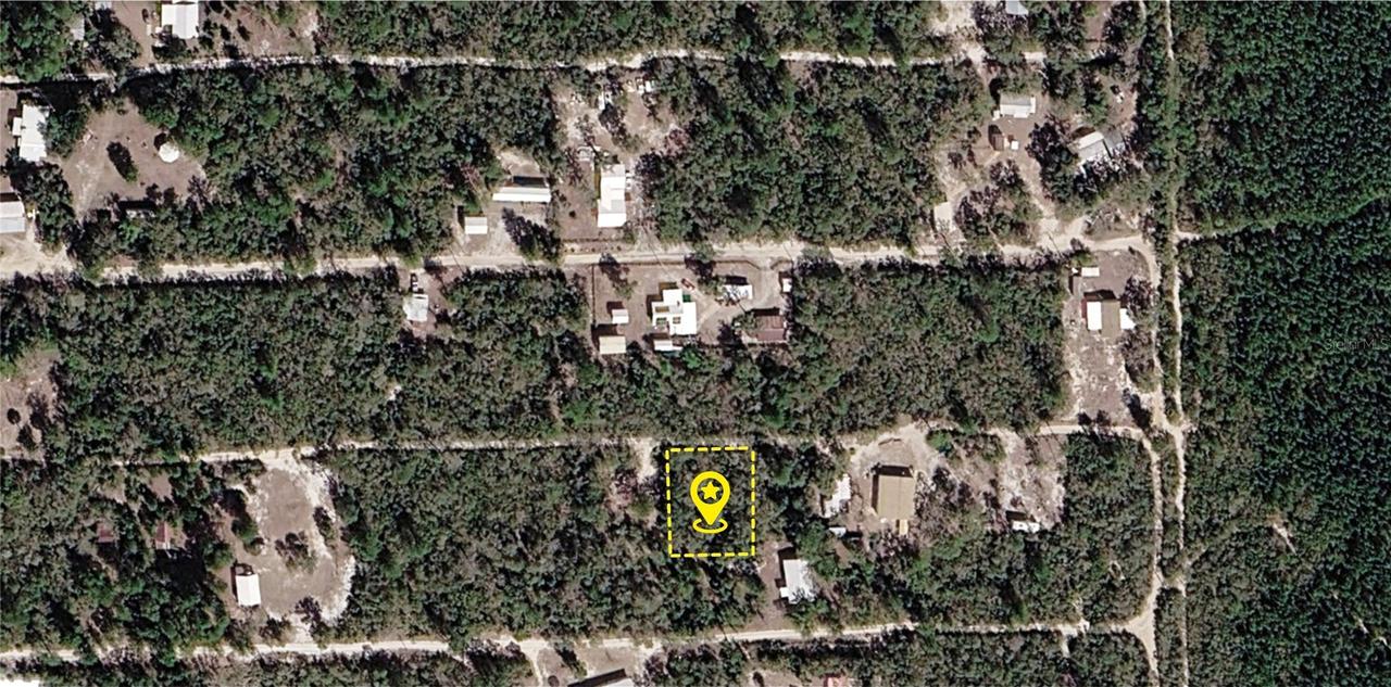 XX NE 234th Ln., Fort Mc Coy, FL 32134