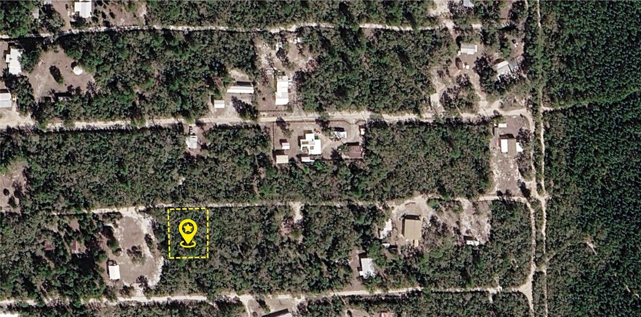 X NE 234th Ln., Fort Mc Coy, FL 32134