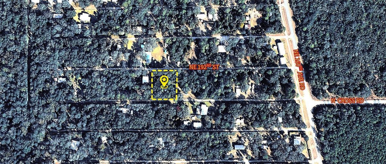 X NE 192nd St., Fort Mc Coy, FL 32134