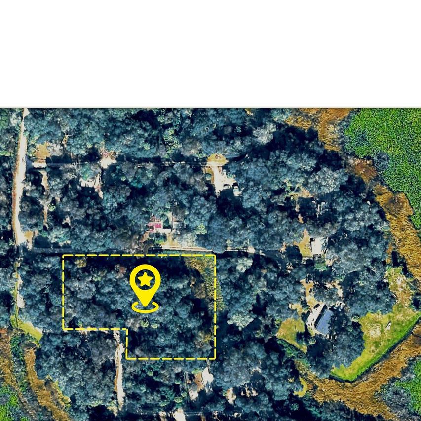 X NE 31st Ter., Citra, FL 32113