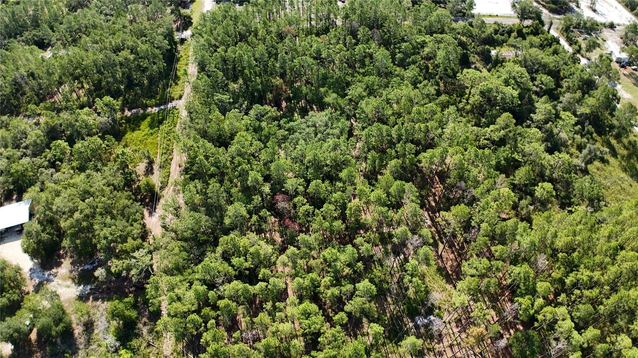 XX SW 156th Pl., Dunnellon, FL 34432