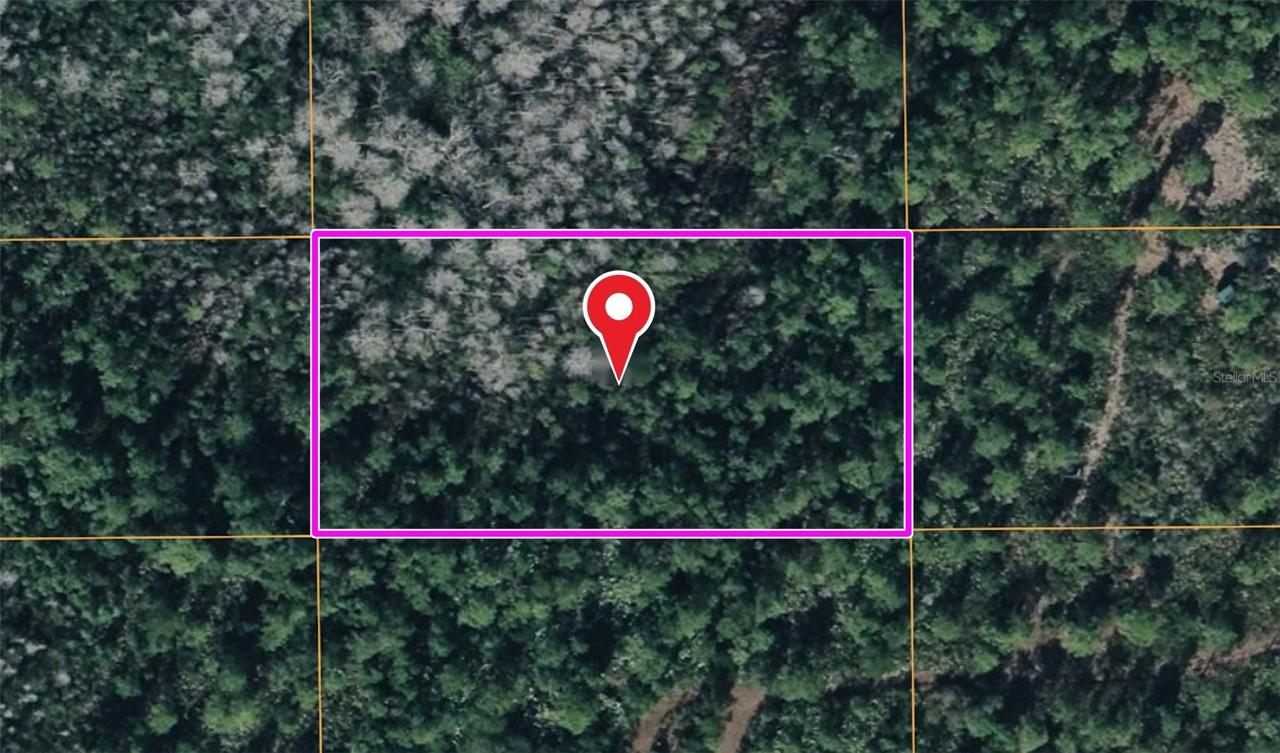 Dill Rd., Orlando, FL 32820