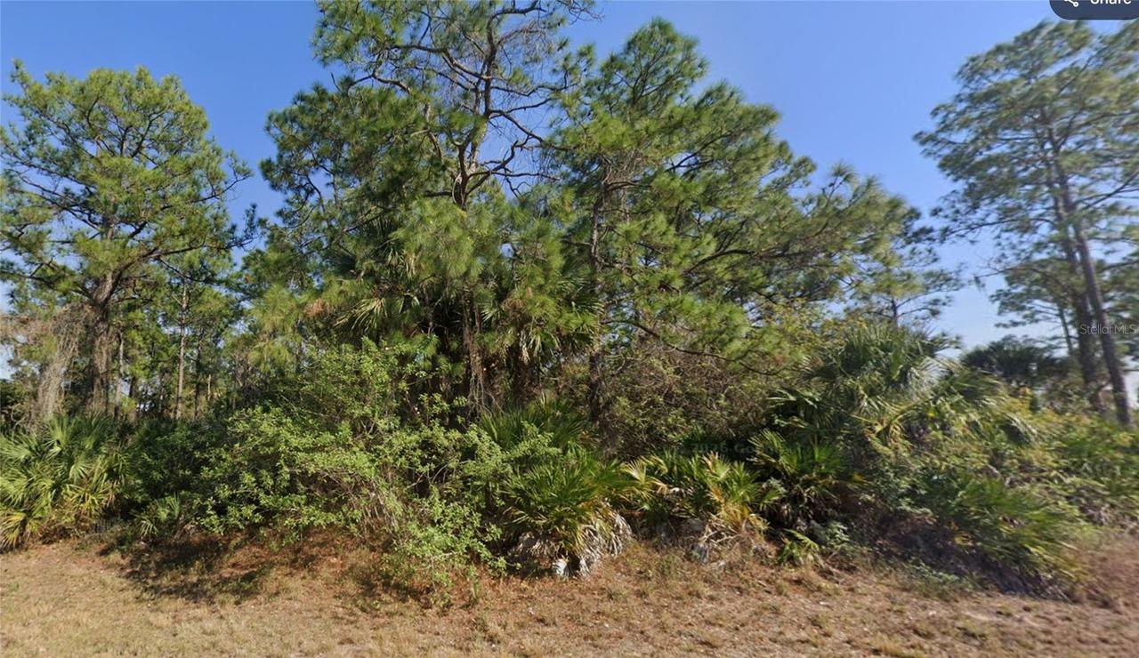 1002 Silverfish Dr., Labelle, FL 33935