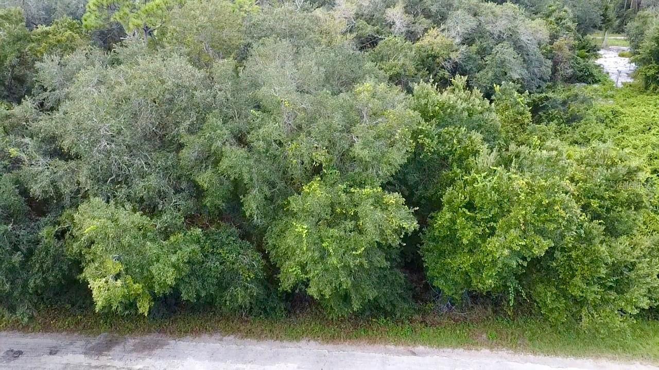 1030 Redbird St., Lake Placid, FL 33852