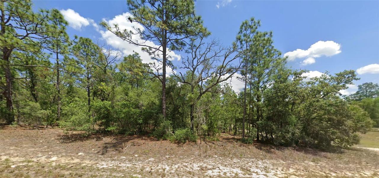 9857 N Lathyrus Ter., Dunnellon, FL 34433