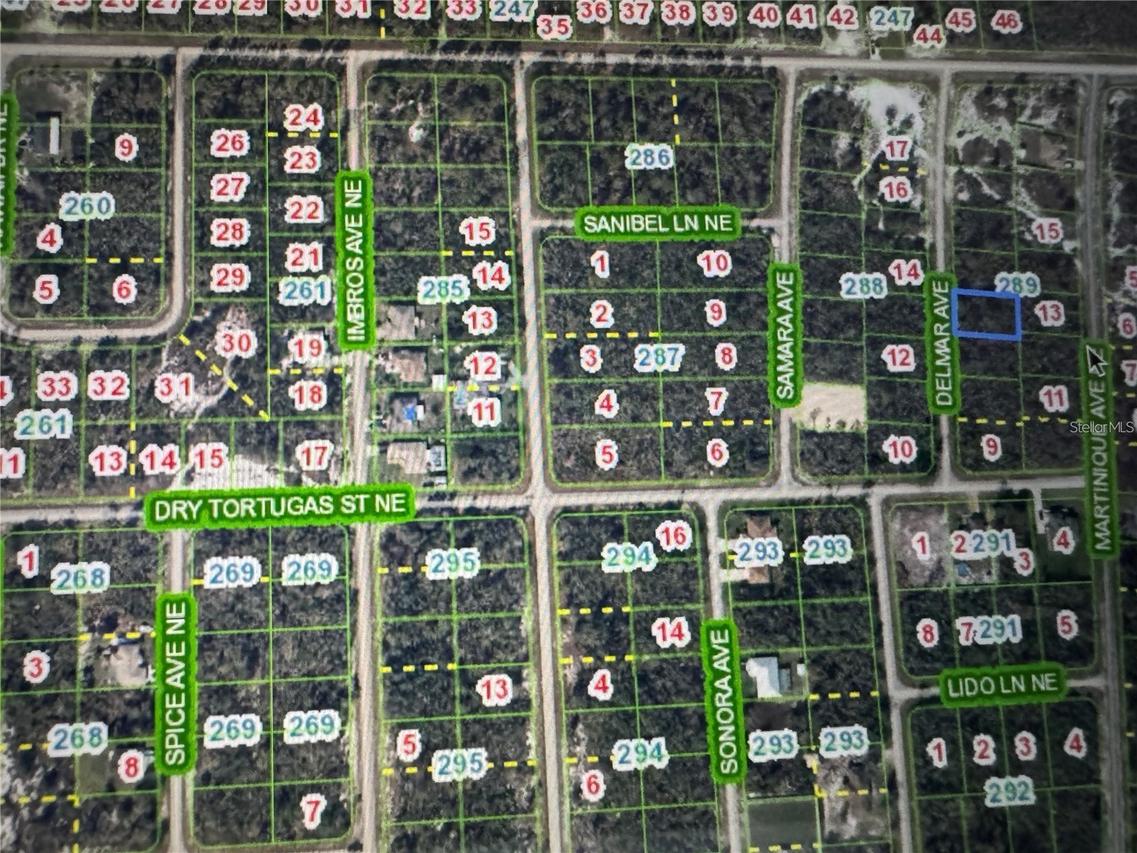 110 Delmar Ave., Lake Placid, FL 33852