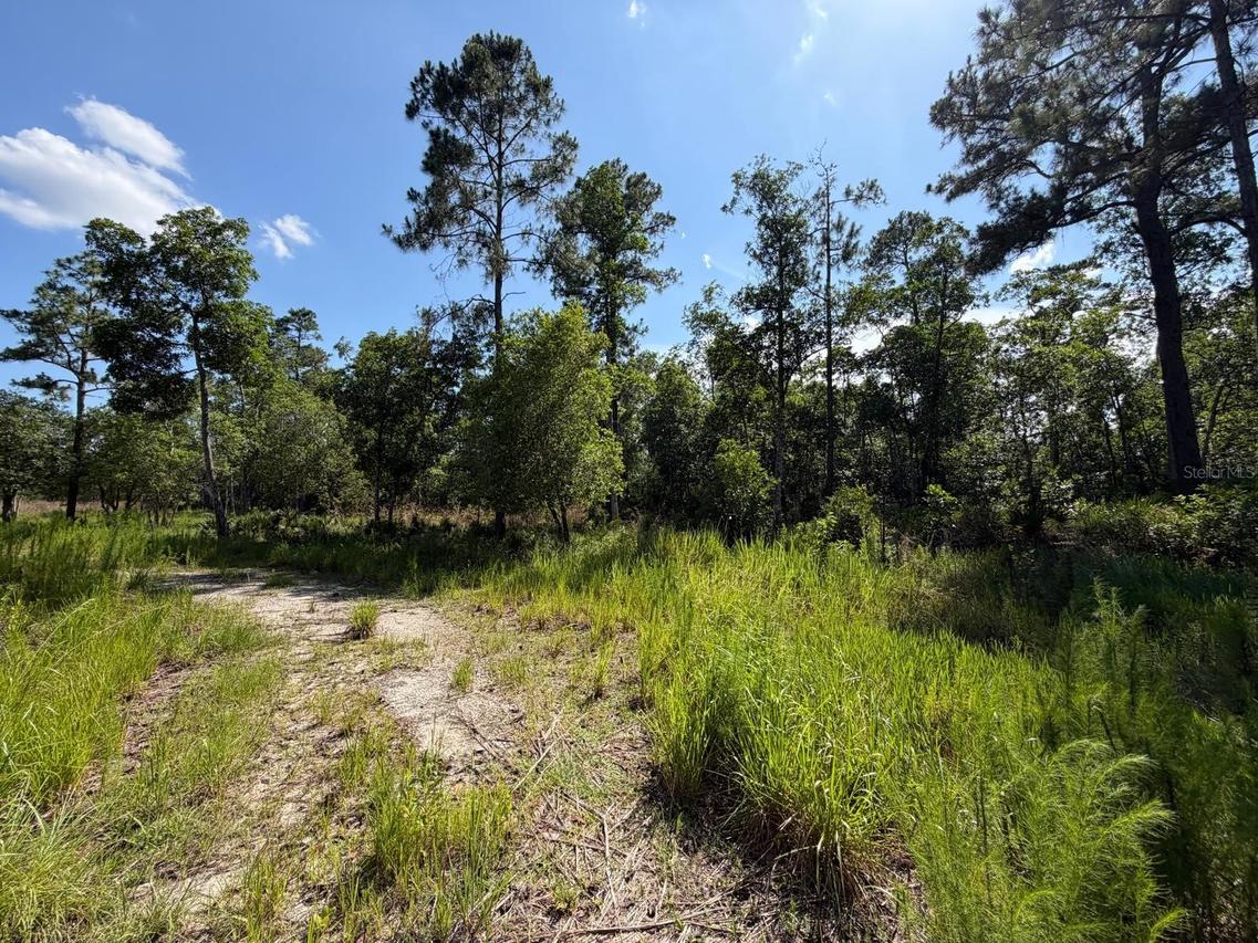1842 Sweetwater Bend, Deltona, FL 32738