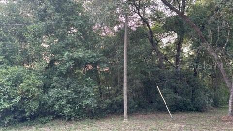 SE 11th St., Silver Springs, FL 34488