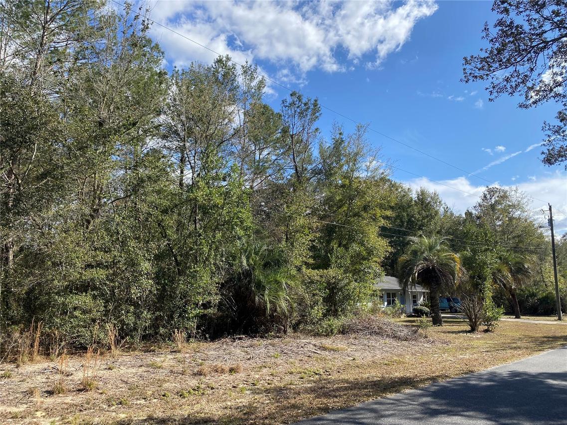 2085 SW Algiers Ct., Dunnellon, FL 34431