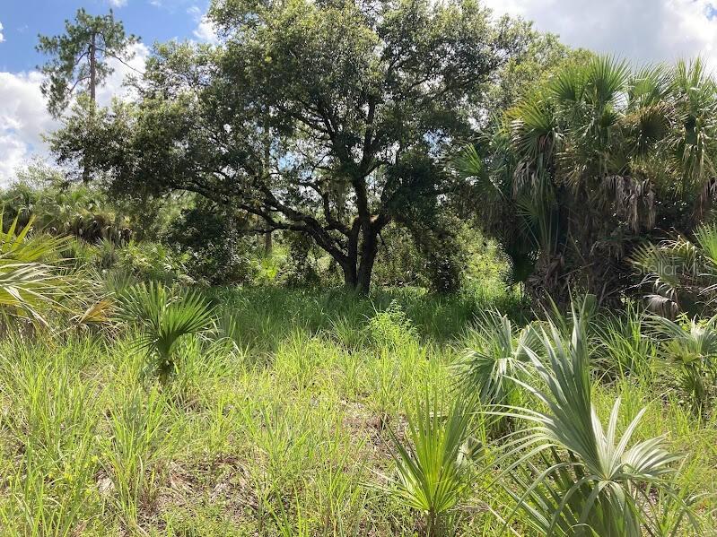 4421 24th Ave., Naples, FL 34117