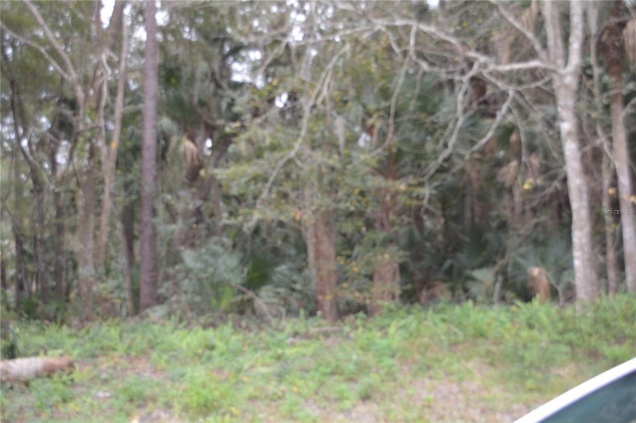 Lincoln Street, Sanford, FL 32771