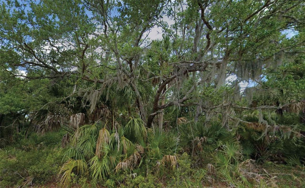 14202 Brisk Ave., Port Charlotte, FL 33953