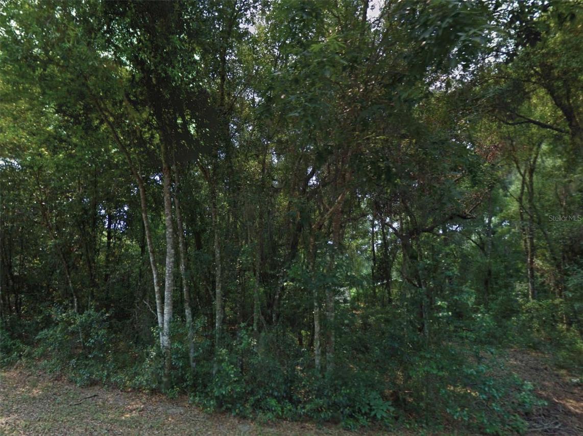 10534 E Waxwing Ln., Floral City, FL 34436