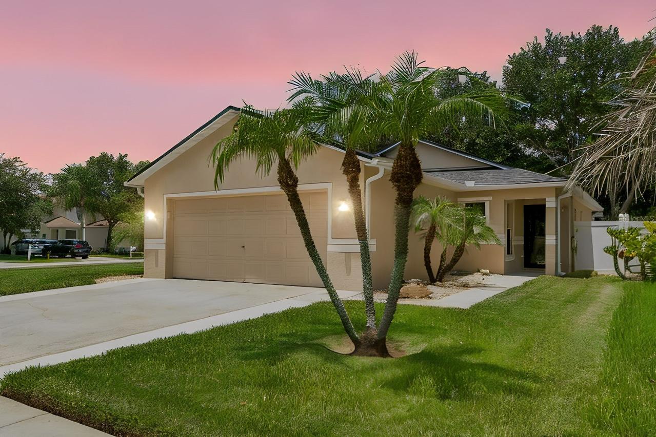 32323 Fish Hook Loop, Wesley Chapel, FL 33545