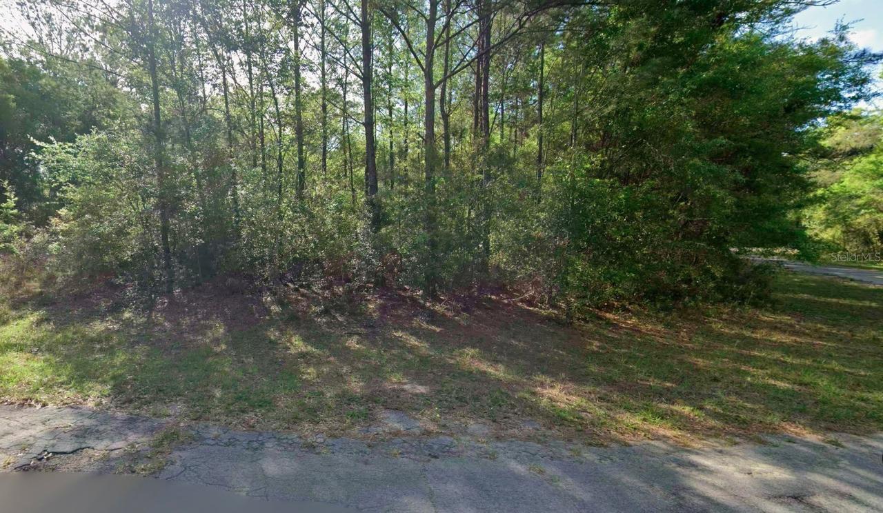 8961 N Conch Ter., Dunnellon, FL 34434