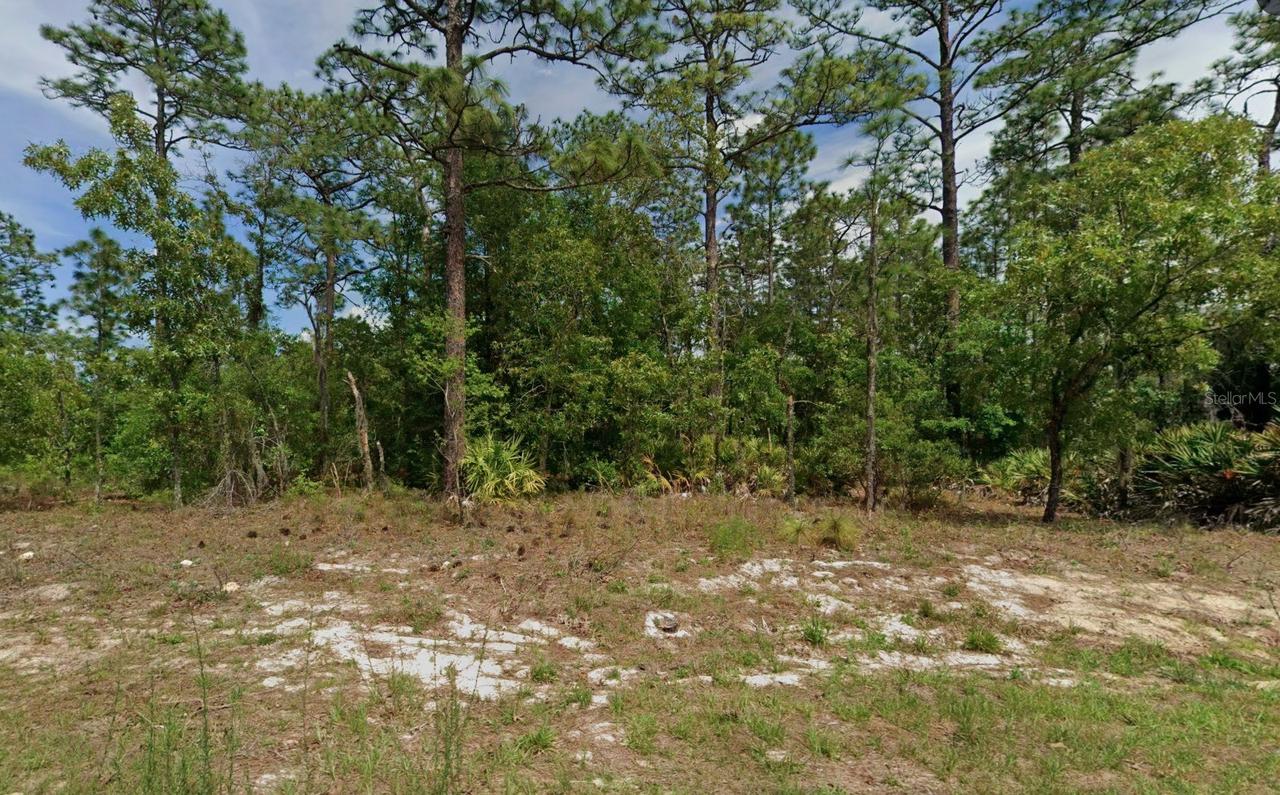 6977 N Foxdale Dr., Citrus Springs, FL 34434