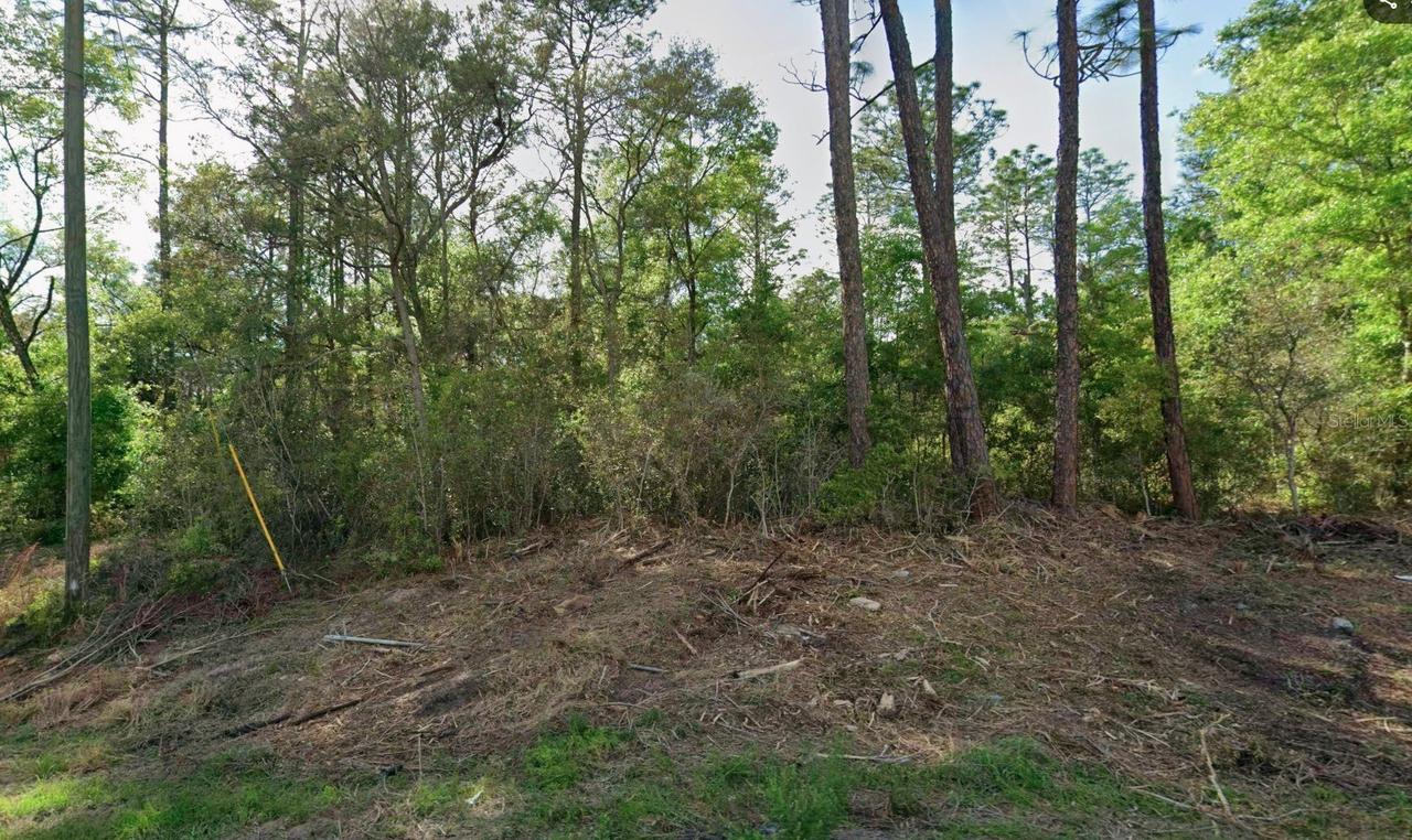 10814 N Hatari Dr., Citrus Springs, FL 34434