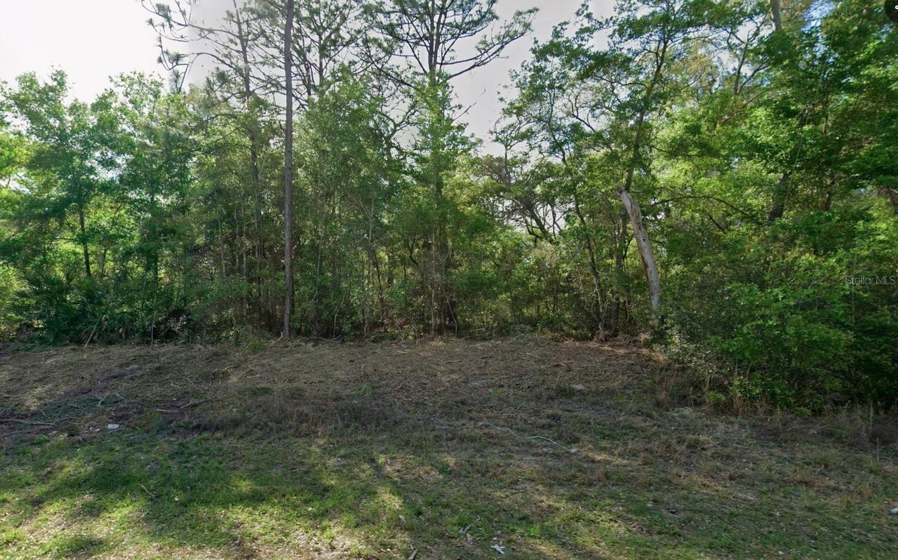 10830 N Hatari Dr., Citrus Springs, FL 34434