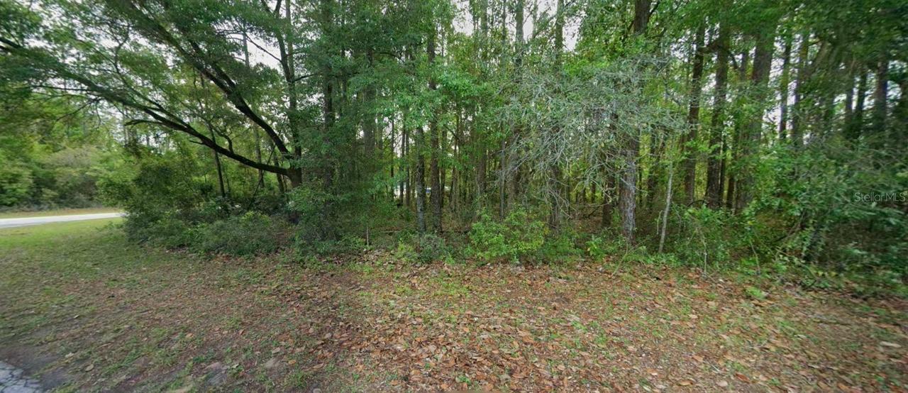 10181 N Gardner Way, Citrus Springs, FL 34434