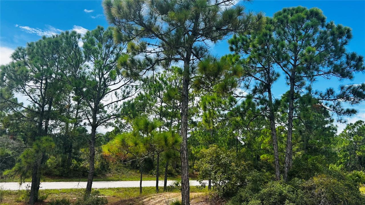 486 Dreamland Dr., Lake Placid, FL 33852