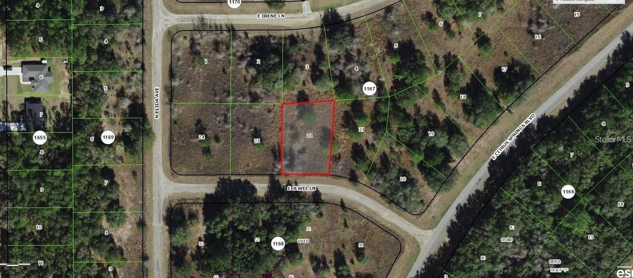 599 E Jewel Ln., Dunnellon, FL 34434
