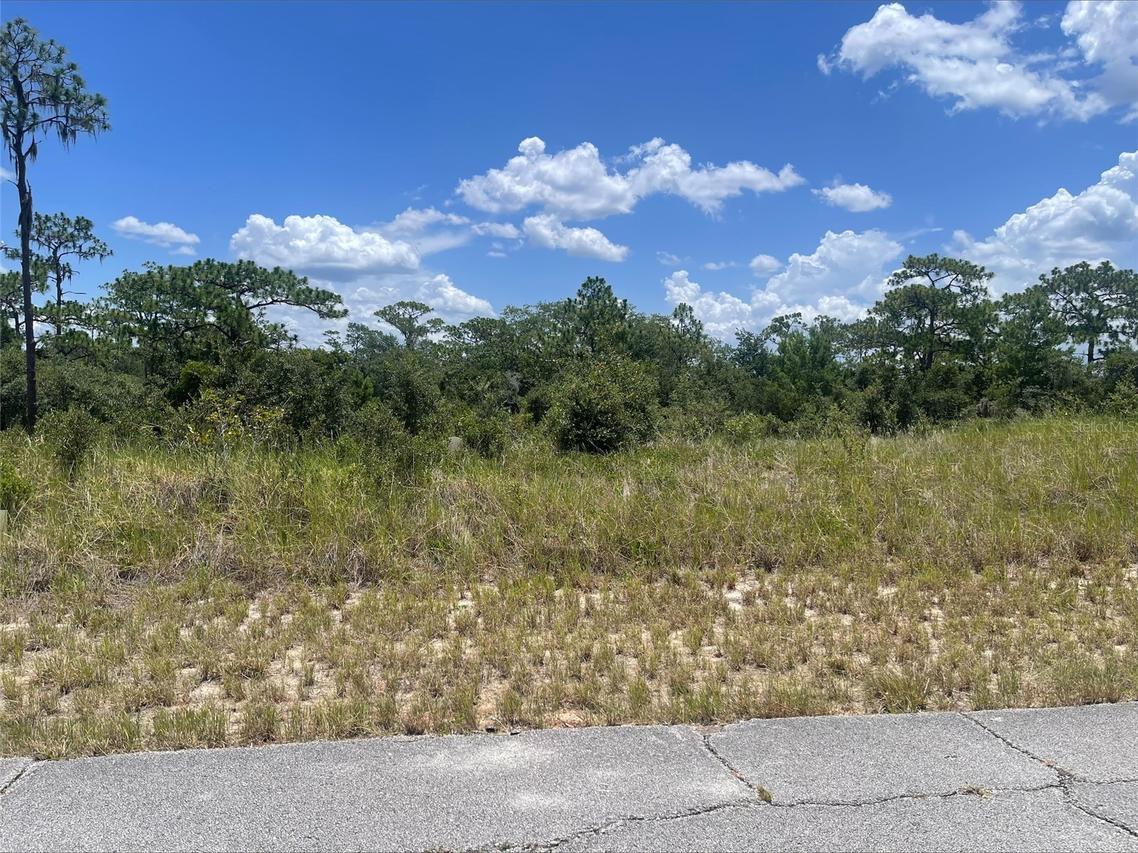 1340 Homosassa Ct., Kissimmee, FL 34759