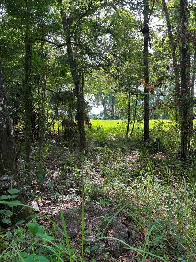 12168 Ponce De Leon Blvd., Brooksville, FL 34601