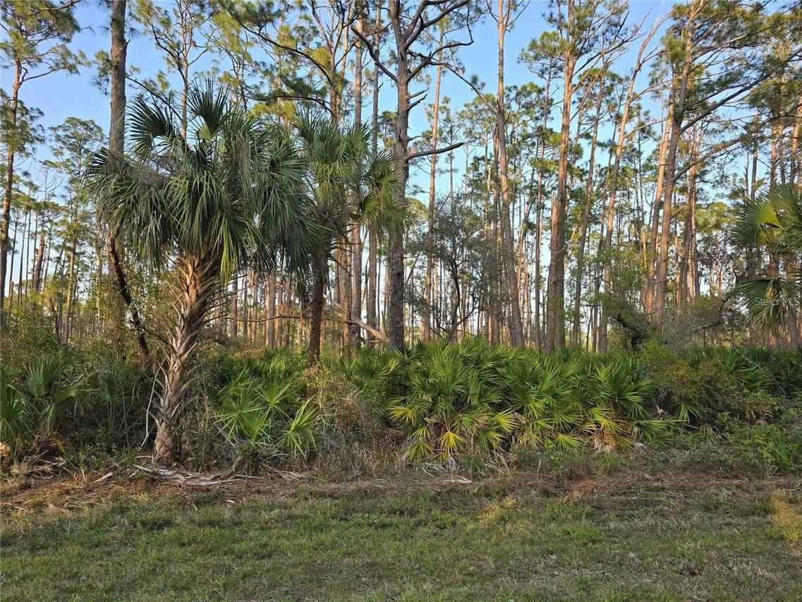 12522 Ranch Ave., Port Charlotte, FL 33953
