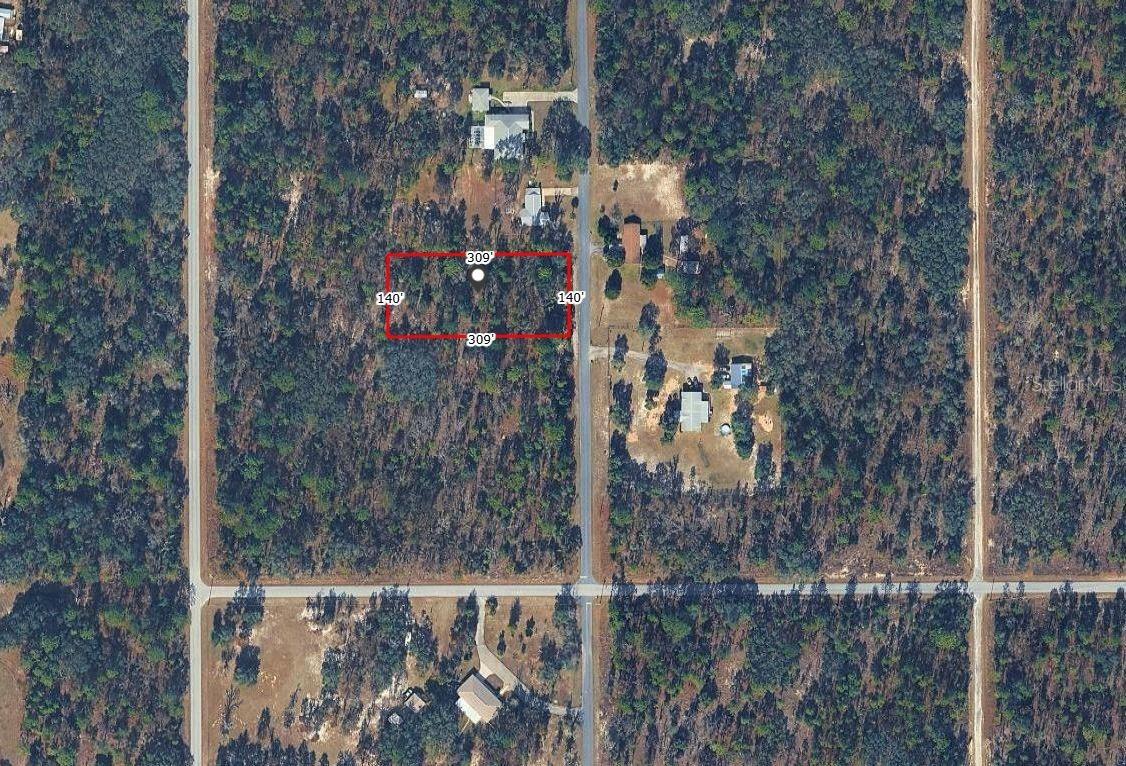 SE Se 126th Ter Ter., Dunnellon, FL 34431
