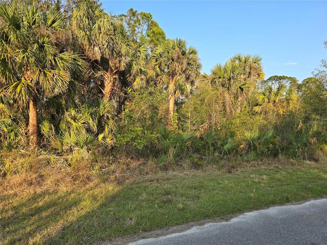 348 Ramblewood St., Port Charlotte, FL 33953