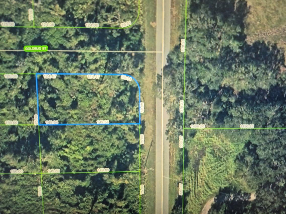 242 Highlands Lake Dr., Lake Placid, FL 33852