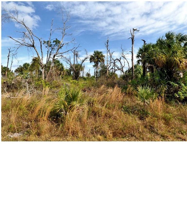 Menzler St., North Port, FL 34288