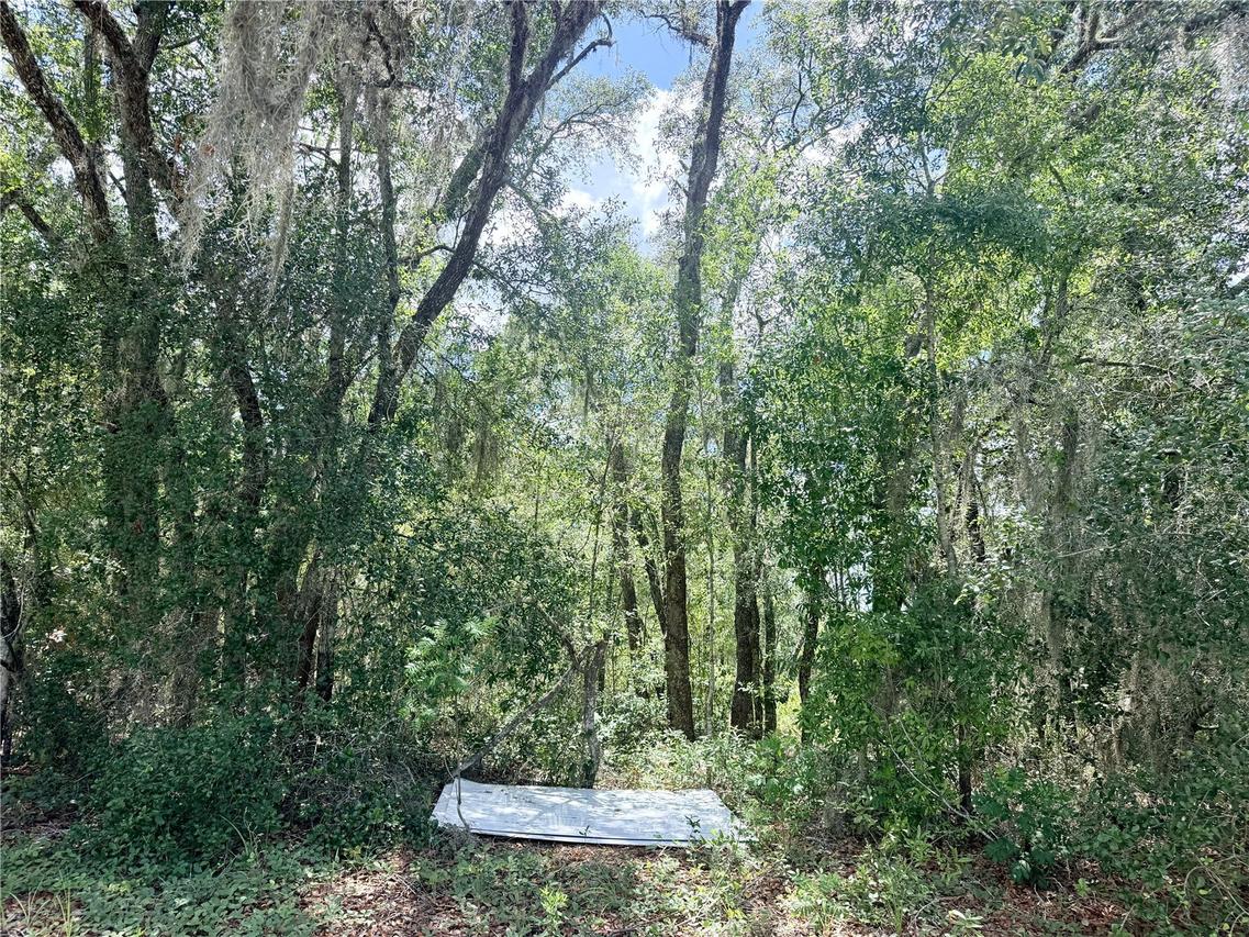 7932 N Elkcam Blvd., Citrus Springs, FL 34433