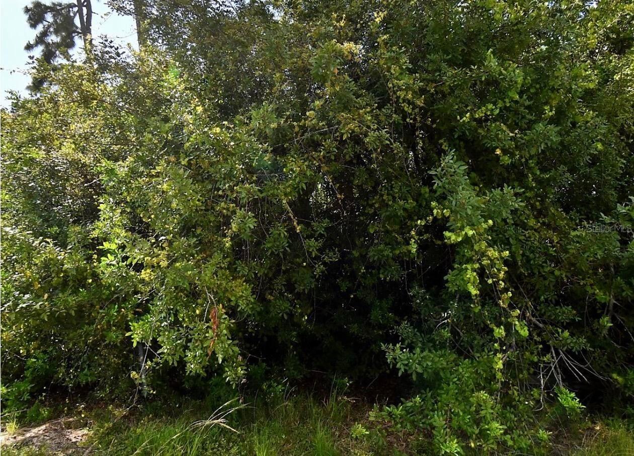 Map Ave., North Port, FL 34286