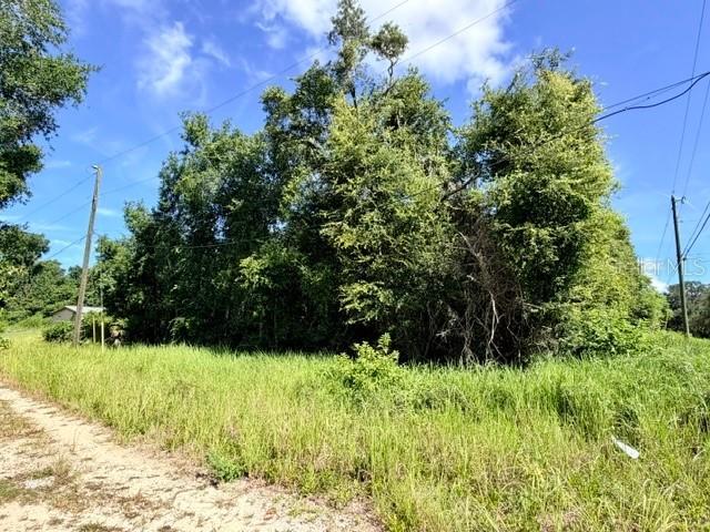 NE 249th Ct., Salt Springs, FL 32134