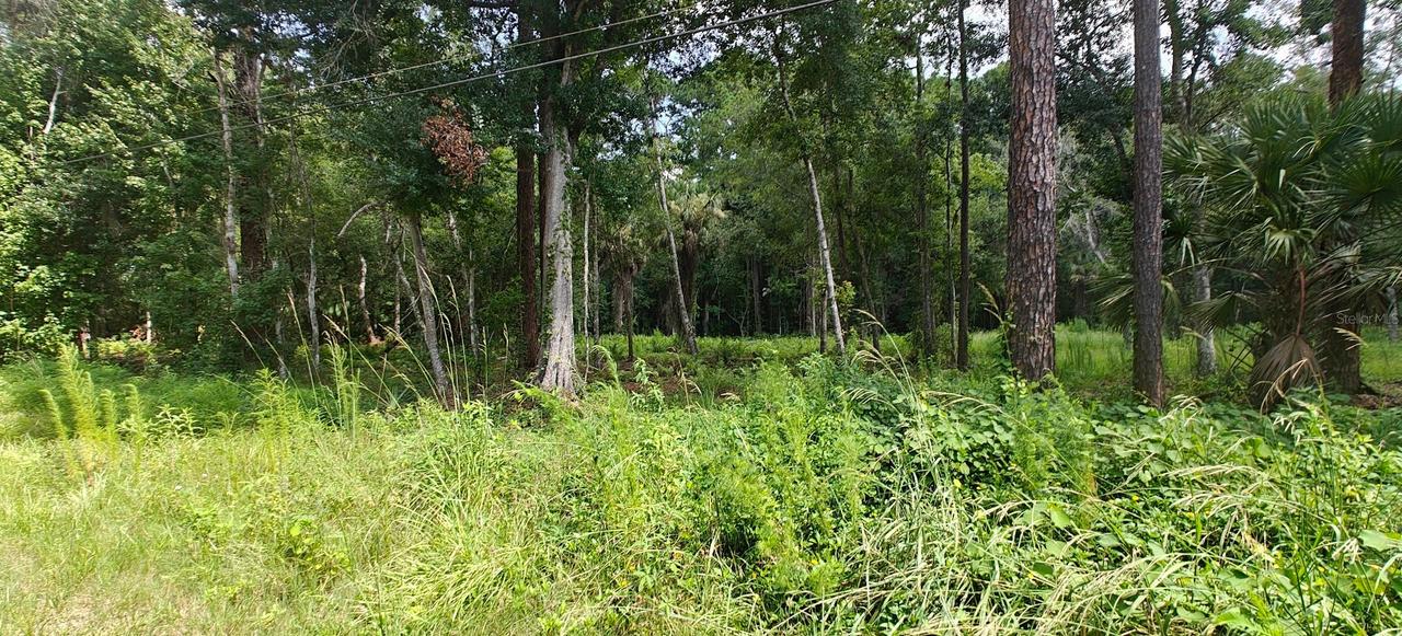 8401 Amelia Tr., Kissimmee, FL 34747