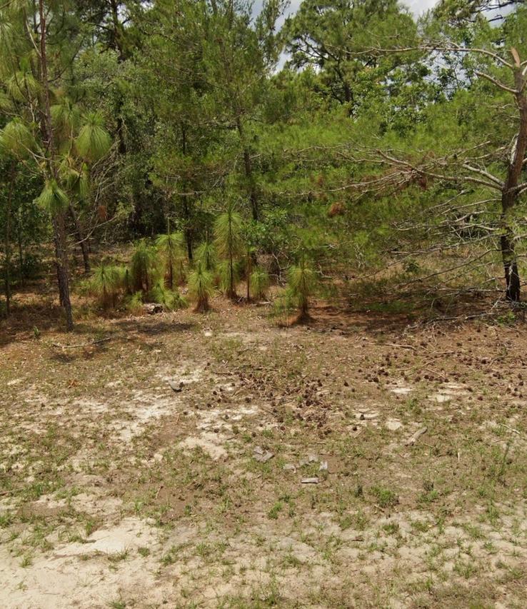 14214 SW 60th Ter., Ocala, FL 34473