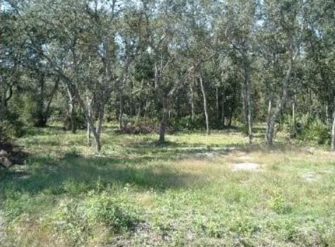 413 NE 808th St., Old Town, FL 32680